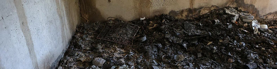 Фото: Антон Вергун