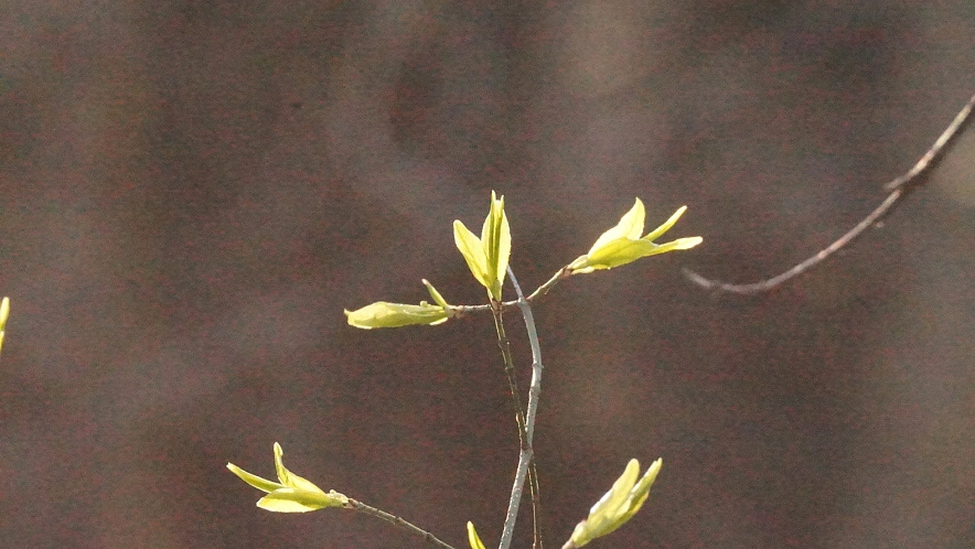 Фото: Сергей Егоров