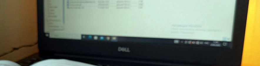 Фото: Дарья Егорова