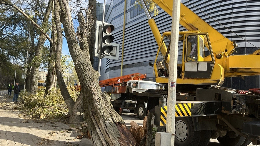 Фото: Анна Григор