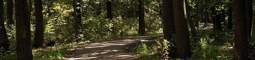 Фото: Сергей Егоров