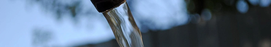 Фото: Сергей Егоров 