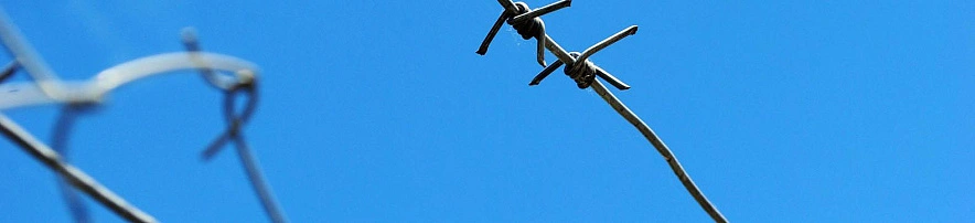 Фото: Оксана Булгакова