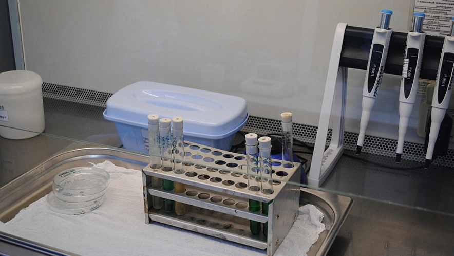 Фото: Анна Григор