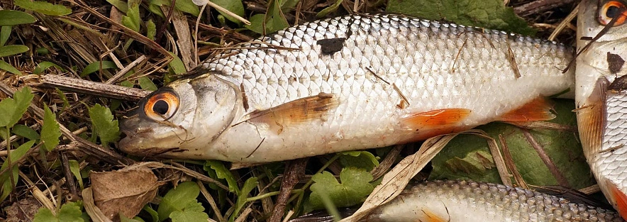 Фото: Сергей Егоров