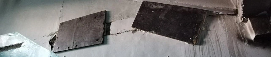 Фото: Людмила Ильиных