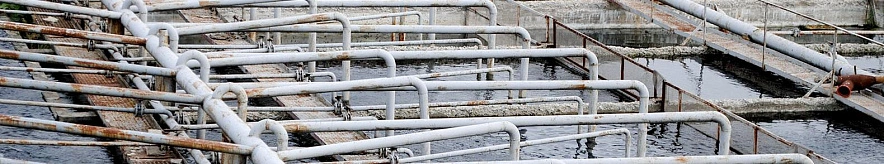 Фото: Сергей Кудрин