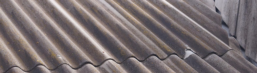 Фото: Сергей Егоров