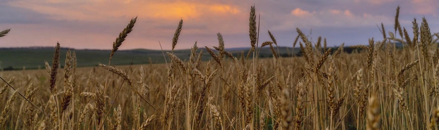 Фото: Юлия Мальцева