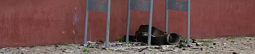 Фото: Мария Быкова