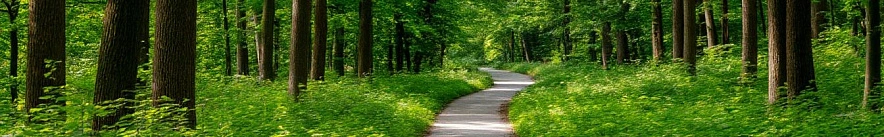 Фото: Шедеврум