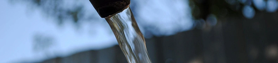 Фото: Сергей Егоров