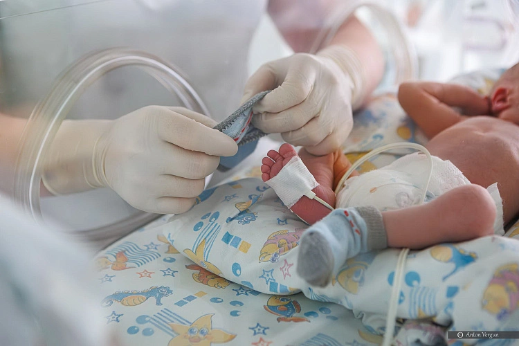 Фото: Антон Вергун