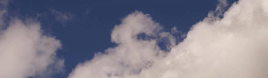 Фото: Сергей Егоров