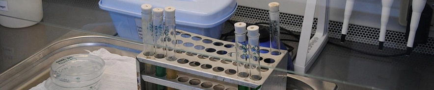 Фото: Анна Григор