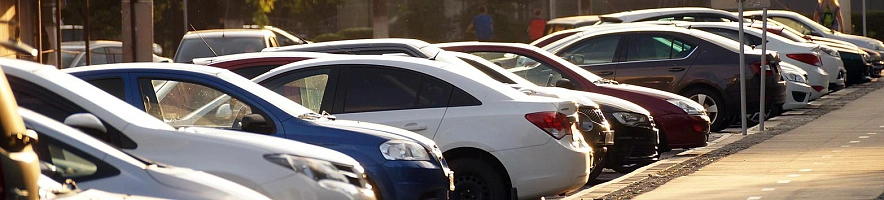 Фото: Сергей Егоров