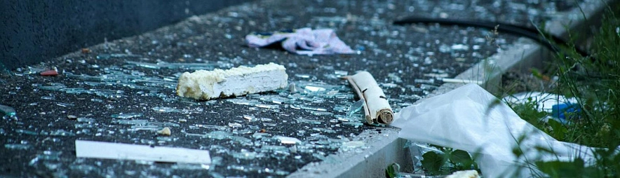 Фото: Валерия Алисова