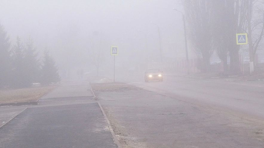 Фото: Сергей Егоров