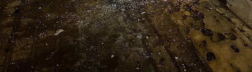 Фото: Анна Григор