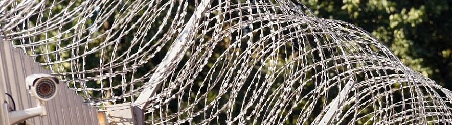 Фото: Сергей Егоров