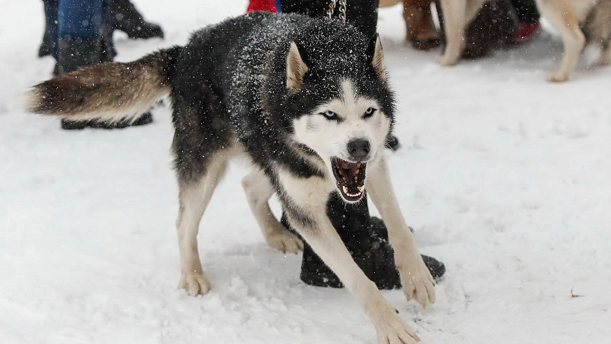 Фото: Антон Вергун