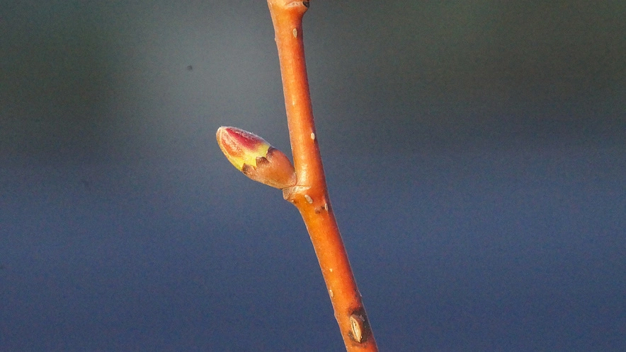 Фото: Сергей Егоров