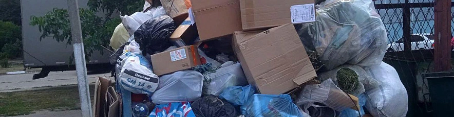 Фото: Сергей Егоров