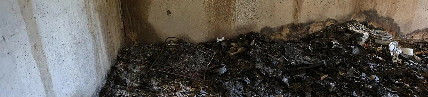 Фото: Антон Вергун