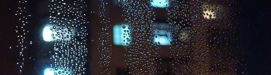 Фото: Дарья Егорова