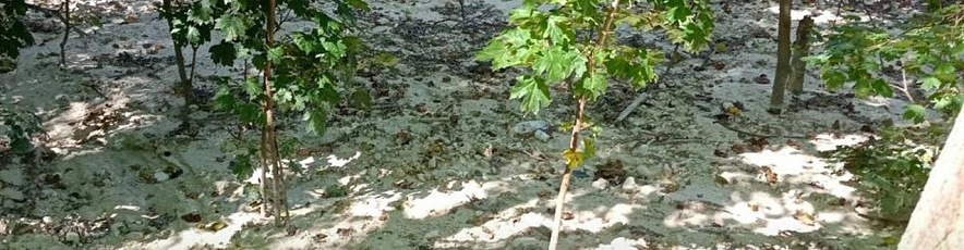 Фото: экоохотнадзор Белгородской области