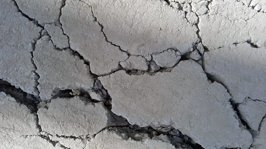 Фото: Сергей Егоров