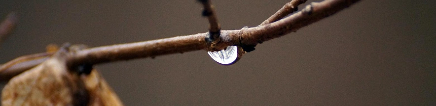 Фото: Сергей Егоров