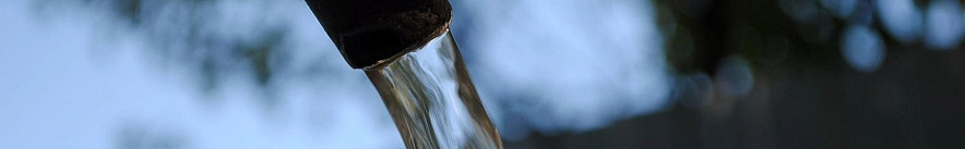 Фото: Сергей Егоров 