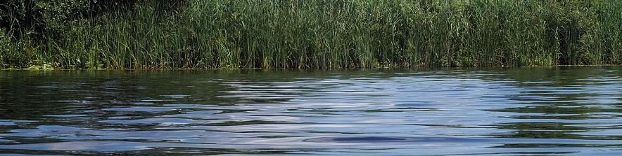 Фото: Сергей Егоров