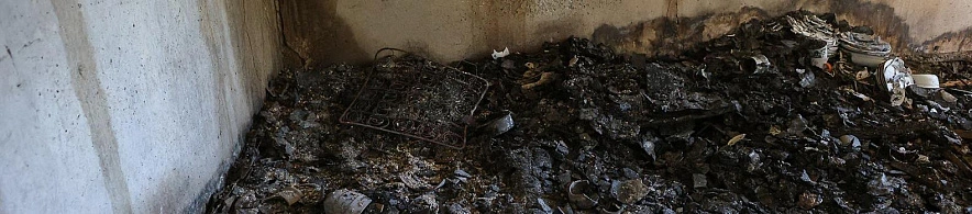 Фото: Антон Вергун