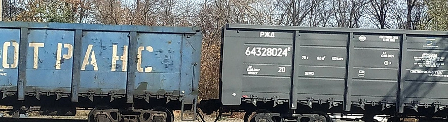 Фото: Сергей Егоров