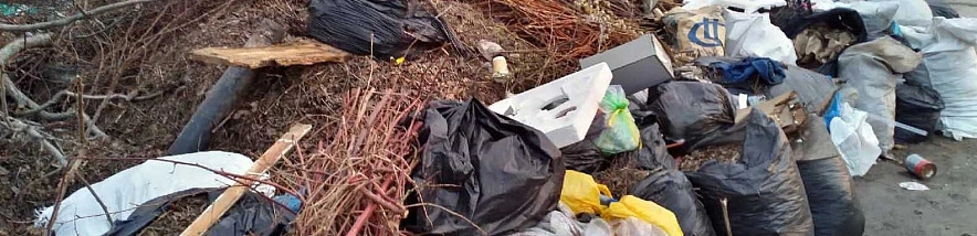 Фото: Сергей Егоров