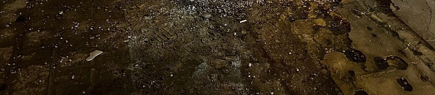 Фото: Анна Григор