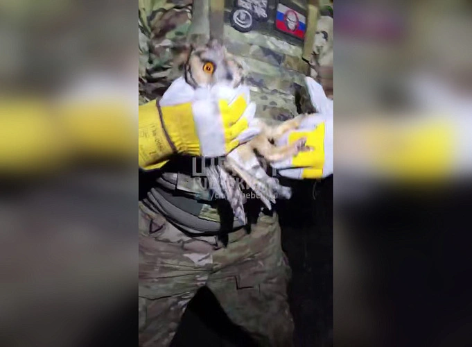 Фото:  t.me/club_shebekino