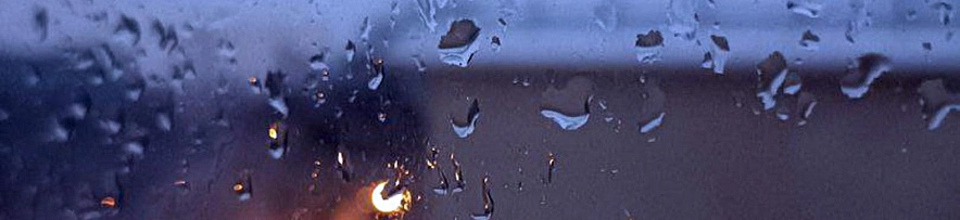 Фото: Дарья Егорова