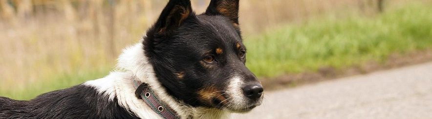 Фото: Сергей Егоров