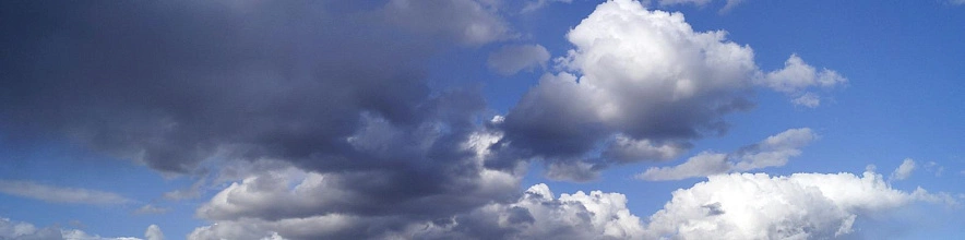 Фото: Сергей Егоров