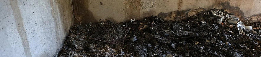 Фото: Антон Вергун