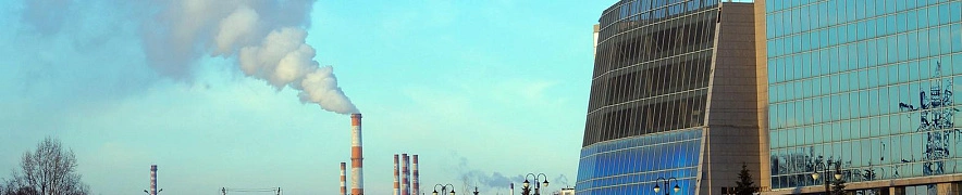 Фото: Дарья Егорова