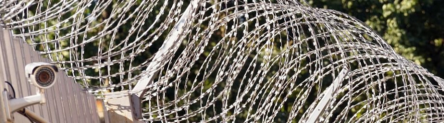 Фото: Сергей Егоров