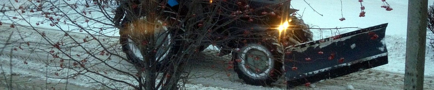 Фото: Сергей Егоров