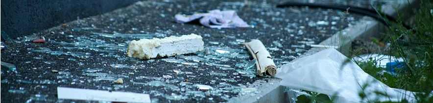 Фото: Валерия Алисова