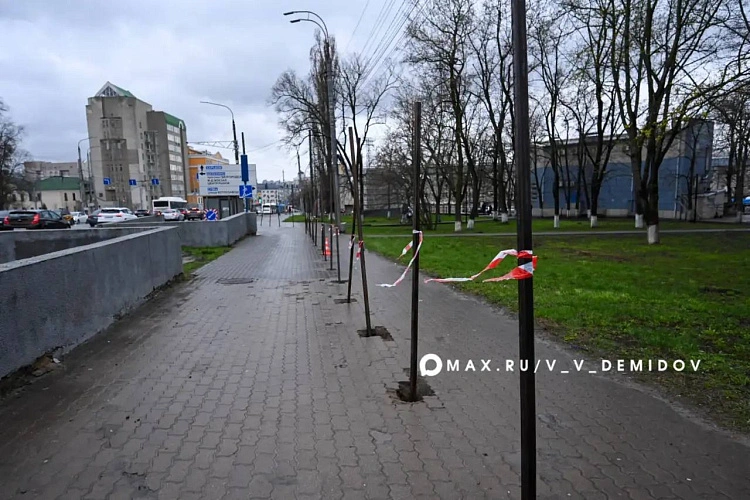 Фото: пресс-служба администрации Белгорода