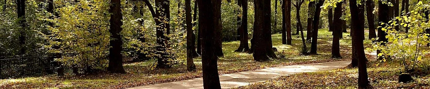 Фото: Сергей Егоров