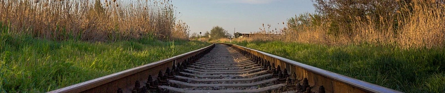 Фото: Юлия Мальцева